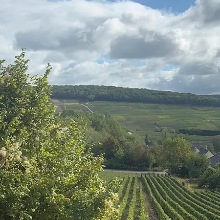 Le Champenois A La Riviere 別荘 Fleury-la-Riviere