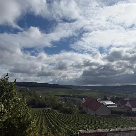 Le Champenois A La Riviere 別荘